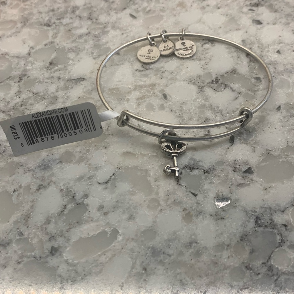 Alex and Ani Skeleton Key Bangle NWT!
